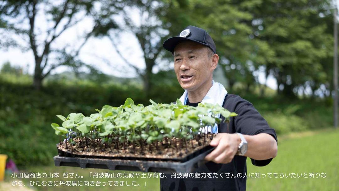 記事内画像