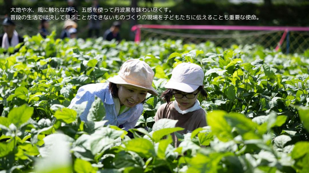 記事内画像