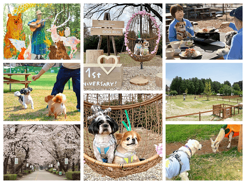 春のおでかけは、愛犬と那須塩原へ。那須千本松牧場、グランドオープン1周年！ 桜の中の無料撮影会＆ワンちゃんマルシェ開催
