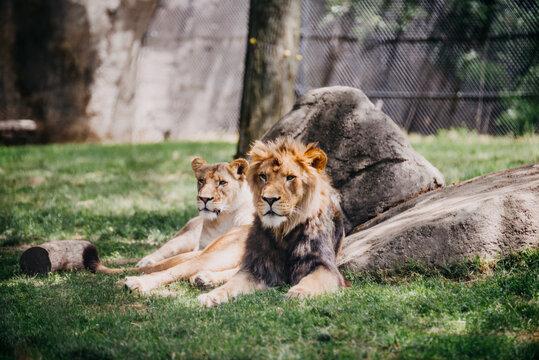 【2026年】年間パスポートがお得な公園・動物園｜基本情報や見どころを紹介