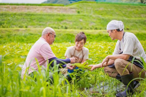 地方創生の切り札「農泊」とは？ 眠れる地域資源を「資産」に変える再生術