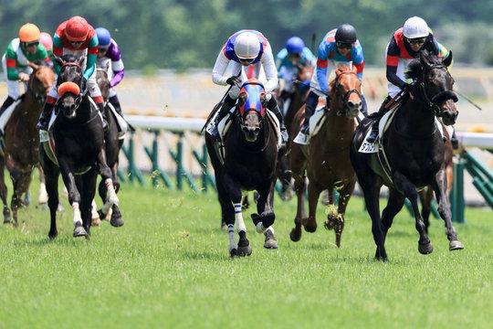 『ザ・ロイヤルファミリー』が思い出させる名馬ステイゴールド──“勝てないのに愛された”伝説の理由