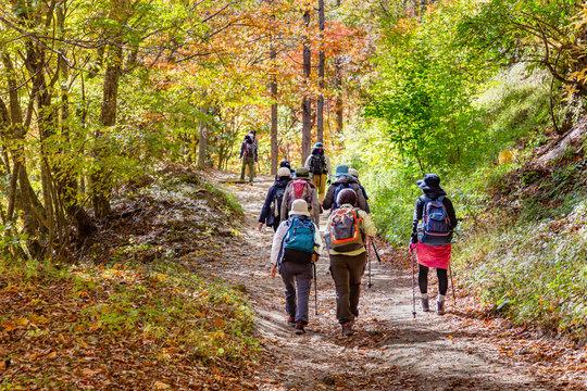 登山初心者必見！東京都内で安全・快適に山を楽しむ方法