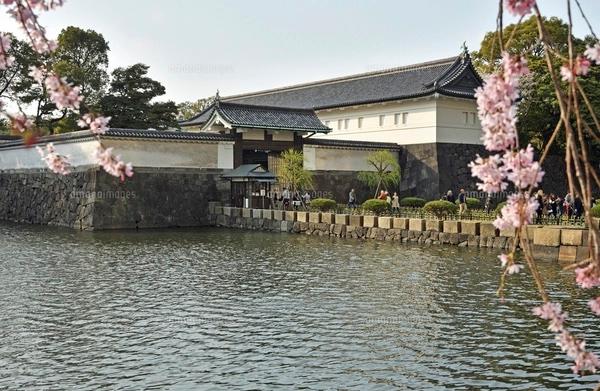 皇居ってどんなところ？子どもと学ぶ“日本のお城”のひみつ