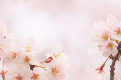 日本の新年度──なぜ「4月スタート」が定着したのか？