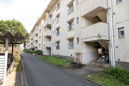 記事サムネイル