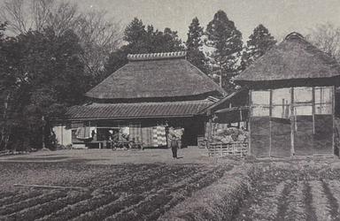 埼玉の農家から東京へ 上京の決意