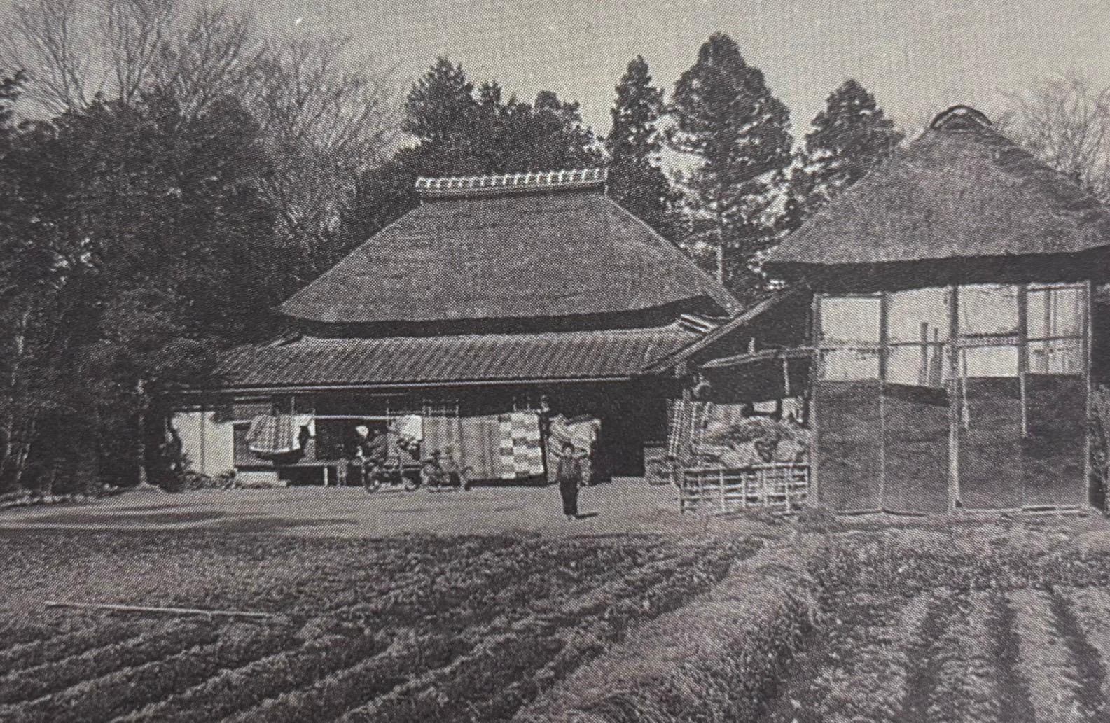 埼玉の農家から東京へ 上京の決意