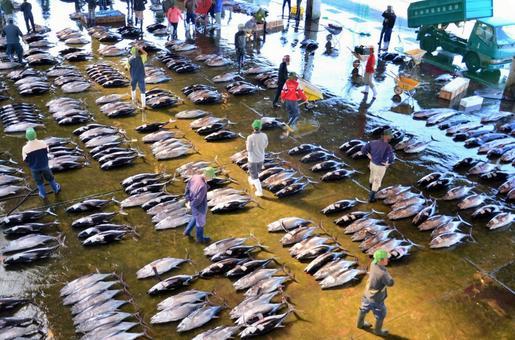 5億円のマグロは高いのか？ 初競りに見る日本経済とブランド戦略