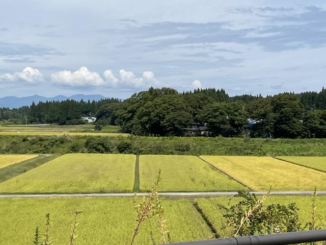 なぜ大学は今、こぞって「農学部」を再定義するのか