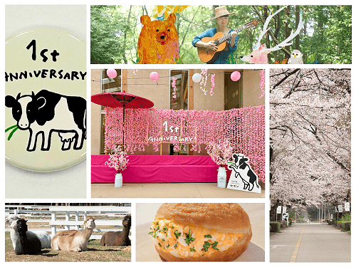 約200本の桜が彩る春の牧場で、グランドオープン1周年。那須千本松牧場が“桜・動物・食”を楽しむ体験型イベントを開催