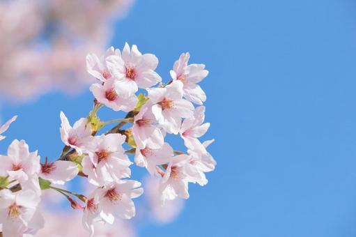 記事サムネイル