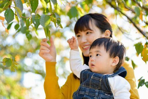 記事サムネイル
