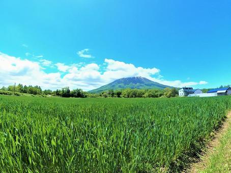 記事サムネイル