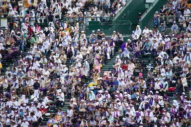 甲子園のチケットはなぜ変わった？値上げの歴史と「カテゴリー制」導入の真相【2026夏の甲子園】