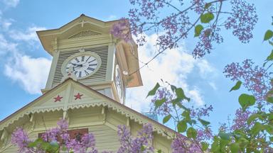 大人も家族も楽しめる北海道の観光地10選