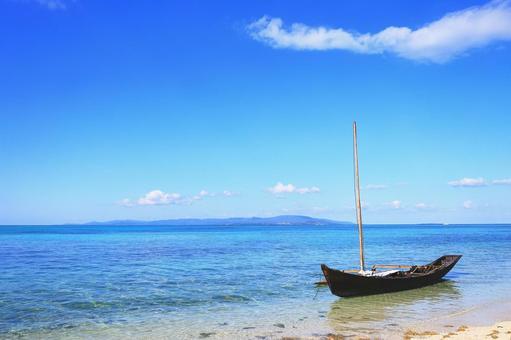 49日間の絶望を打ち破った「分解」の思考：インドネシアの少年が証明した極限の生存術