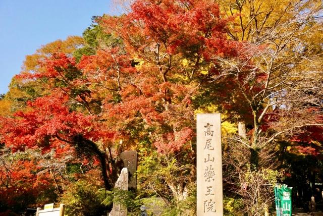 秋の高尾山で感動の絶景に出会う！コース選び・紅葉スポット・限定グルメガイド
