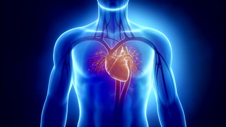 記事サムネイル