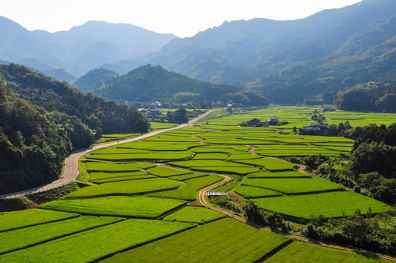 移住・子育て支援の聖地！大分県「豊後高田市」が奇跡を起こした理由