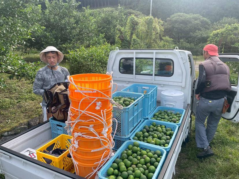 記事サムネイル