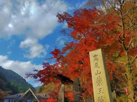 初心者もリピーターも楽しめる！高尾山の魅力とおすすめ体験ポイント総まとめ