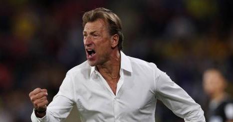 【FIFAワールドカップ2026】チュニジア新監督「エルヴェ・ルナール」—電撃就任の背景と「白い魔術師」の正体