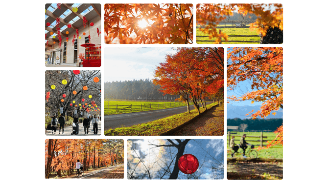 牧場ならではの紅葉を楽しむ「那須千本松牧場 紅葉デイズ2025」を初開催