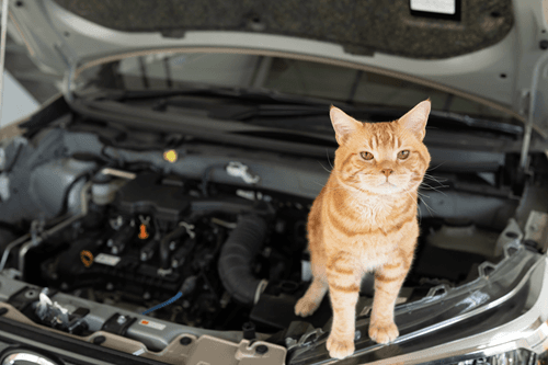 記事サムネイル