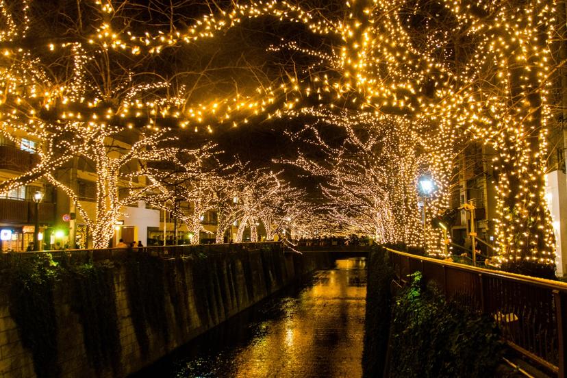 記事サムネイル