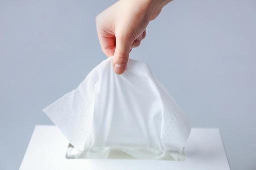 日常が変わる“高級ティッシュ”という選択──触れるだけで贅沢な気分になる紙の秘密