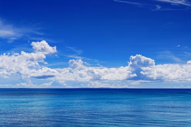 記事サムネイル