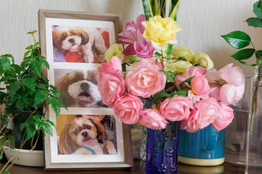 記事サムネイル