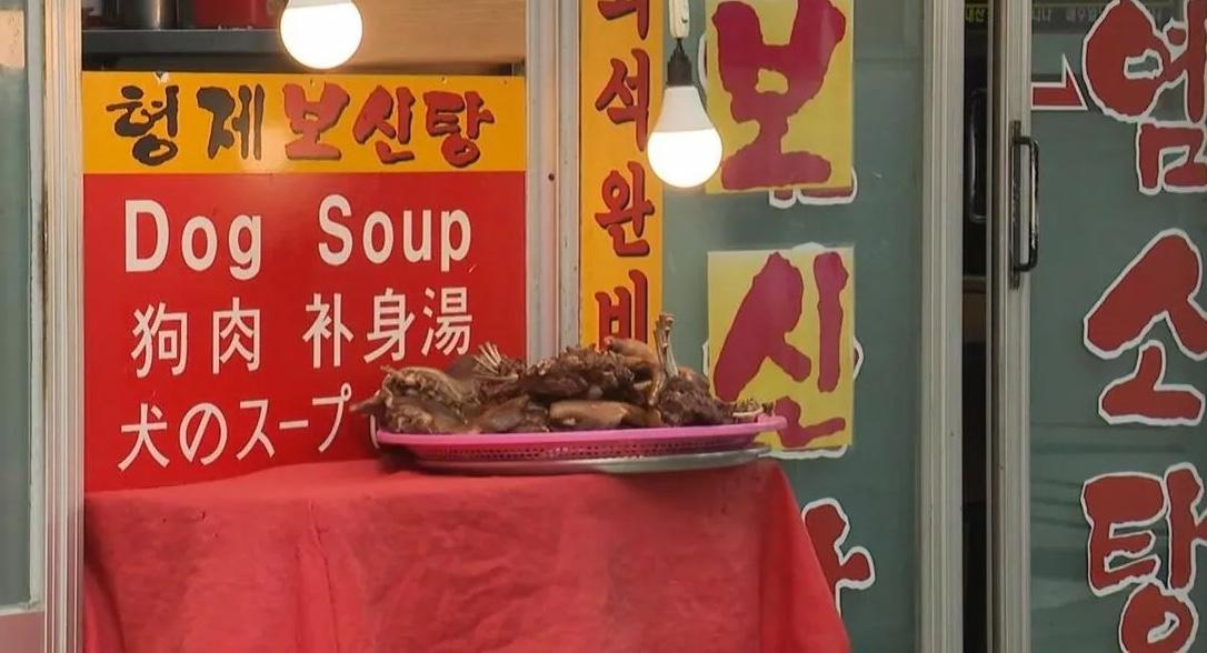 韓国「犬肉禁止法」2027年全面施行へ——食文化の終焉と日本社会への波紋