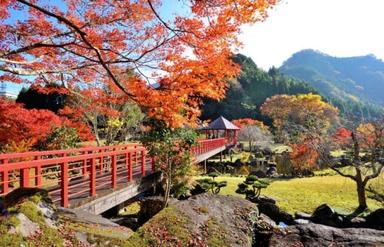 【2026年最新】日本三大紅葉・耶馬渓の魅力！絶景スポットを紹介