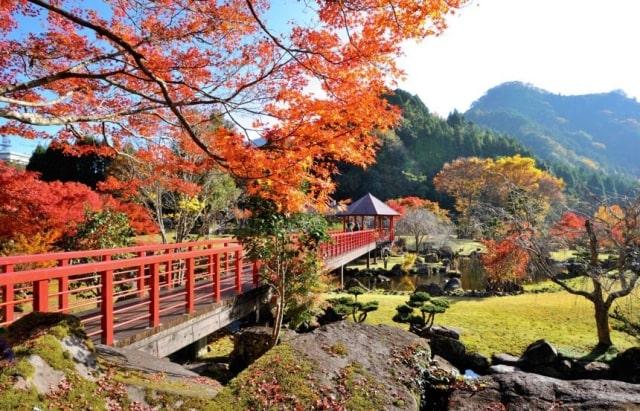 【2026年最新】日本三大紅葉・耶馬渓の魅力！絶景スポットを紹介
