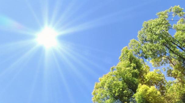 「40度超えの日本列島」──“危険な暑さ”に名をつける時代へ