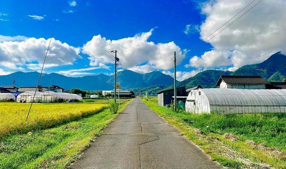 記事サムネイル