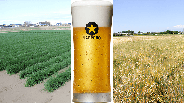 気候変動でビールが飲めなくなる？サッポロビールが挑む次世代大麦開発秘話