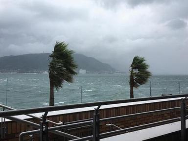 台風とハリケーンの違いとは？発生メカニズムから歴史的被害、最新の防災対策まで解説