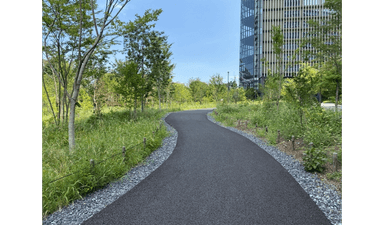 道草のススメ――変化の時代を生き抜くための“寄り道”の思考法