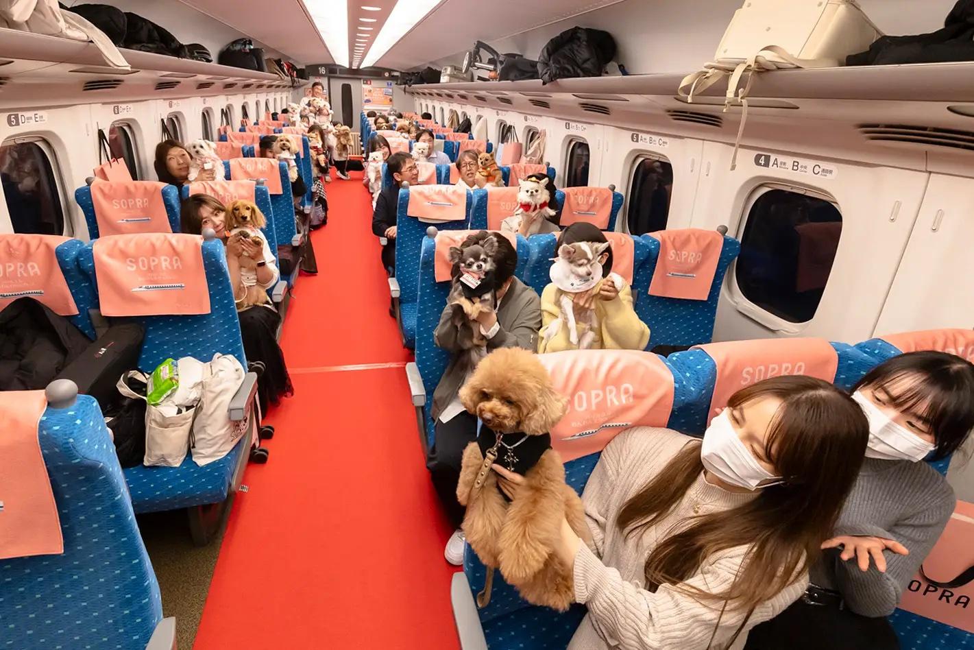 愛犬と横並びで新幹線の旅を――「わんわんエクスプレス」が切り拓く、ペットと出かける新しい時代
