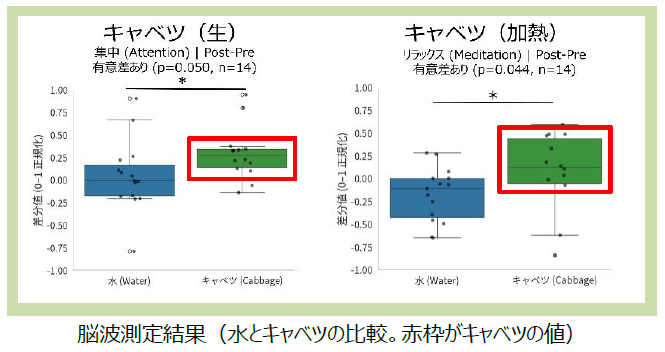 記事内画像