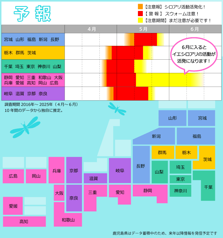 記事内画像