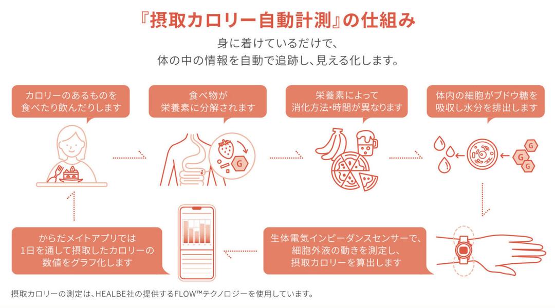 記事内画像
