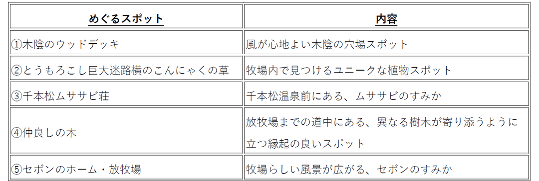 記事内画像