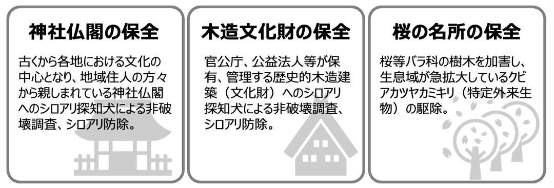記事内画像