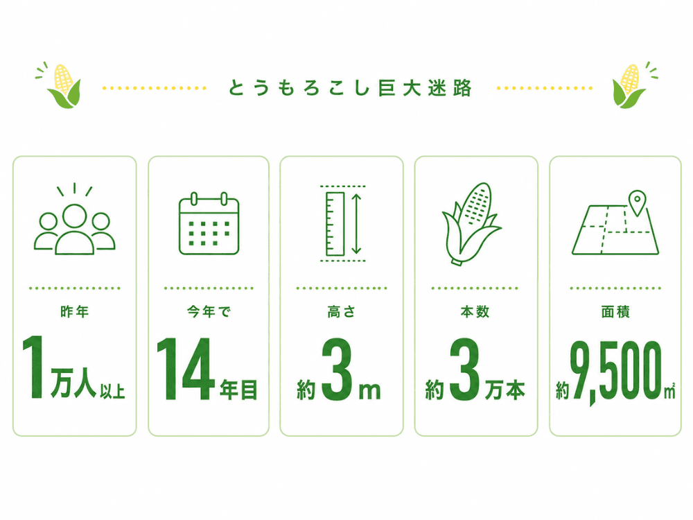記事内画像