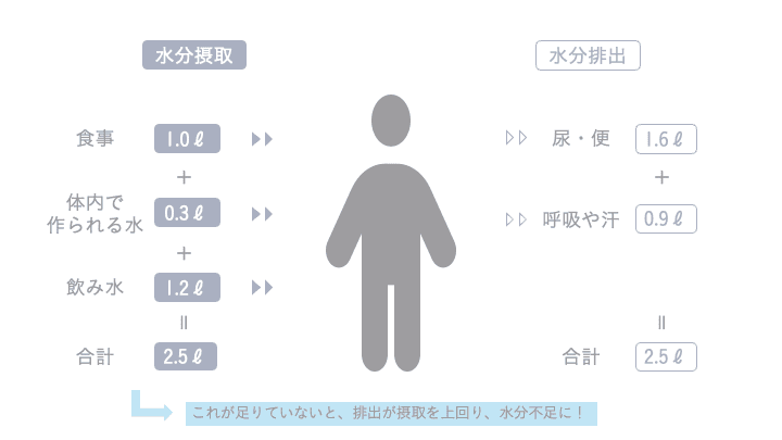 記事内画像
