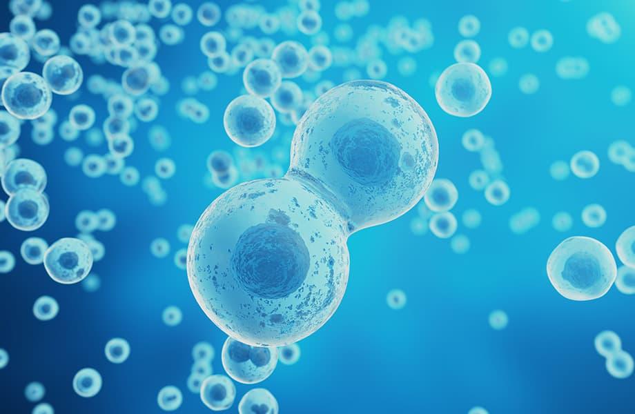 お菓子メーカーUHA味覚糖が仕掛ける「健康寿命革命」。ノーベル賞研究“オートファジー”で巨大市場に挑む